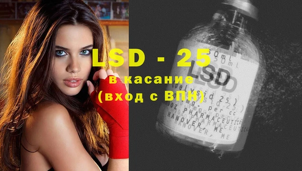 PSILOCYBIN Струнино