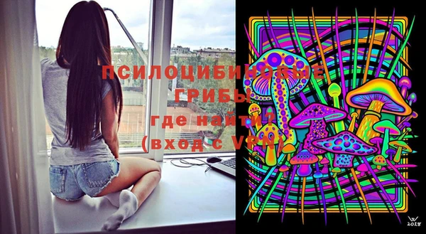 PSILOCYBIN Струнино